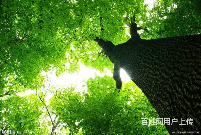 郑州消防一资质代办转让，河南房建市政二公路二转让 - 图片 1