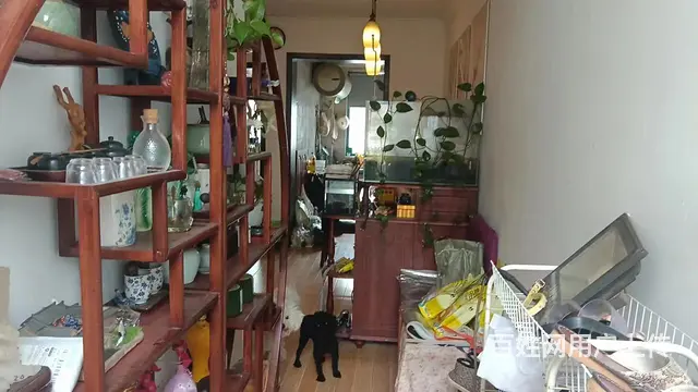 田林苑 普通住宅 精装修 - 图片 1