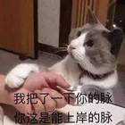 大家为什么都要去考研呢