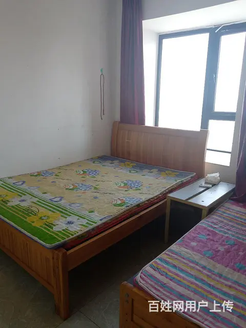 房屋出租 - 图片 6