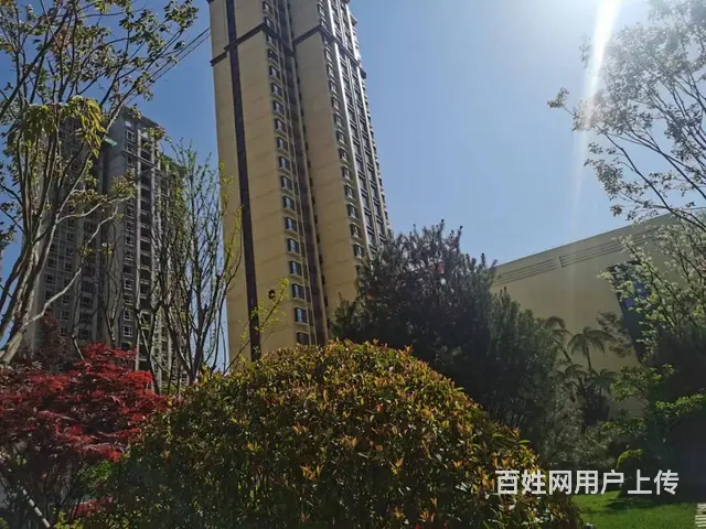 陇南市西和县紫气佳苑一期   出售 - 图片 5