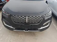 WEY VV6 2021款 2.0T 双离合 两驱智行