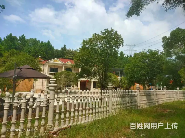 (房东直租)美丽乡村黄兴大道北侧精修别墅，厂房，鱼塘，空地 - 图片 4