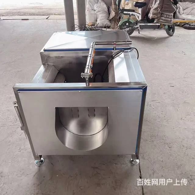 土豆生姜去皮清洗机马蹄清洗机中药材清洗设备 - 图片 2