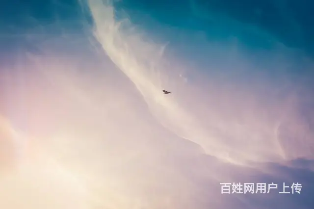 苏州金桥翻译社西班牙语笔译翻译公司 - 图片