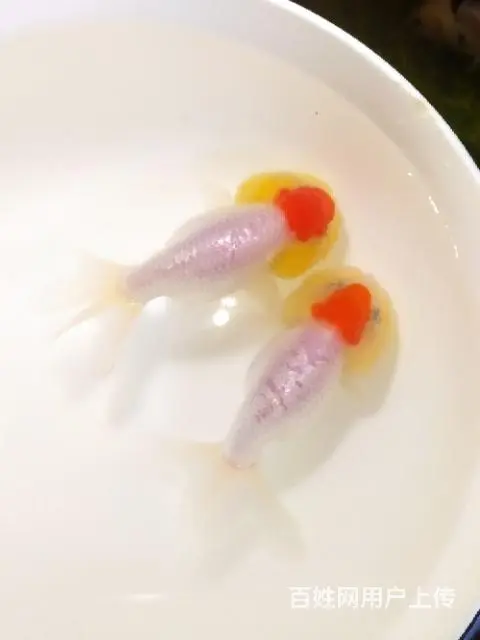 打包正顶红顶虎一对 - 图片 11