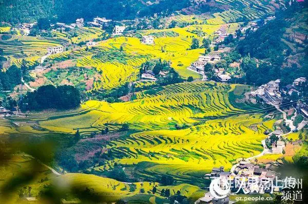 桐梓避暑圣地·尧龙风景区 - 图片 9