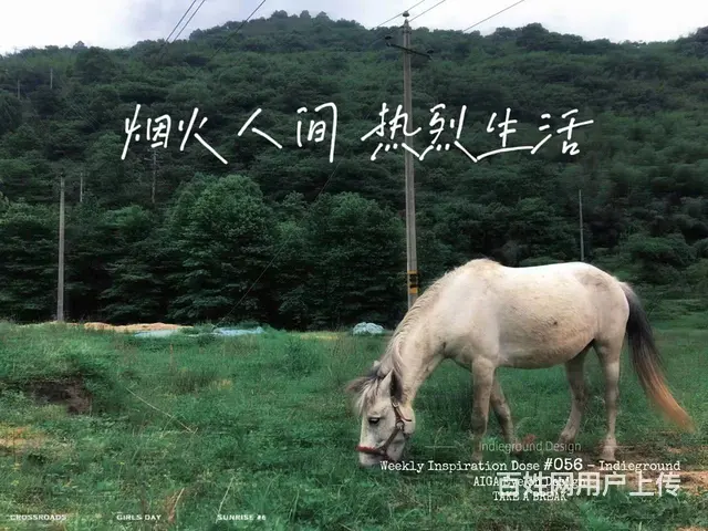 长沙农家乐国庆团建策划野炊烧烤一日游 - 图片 1