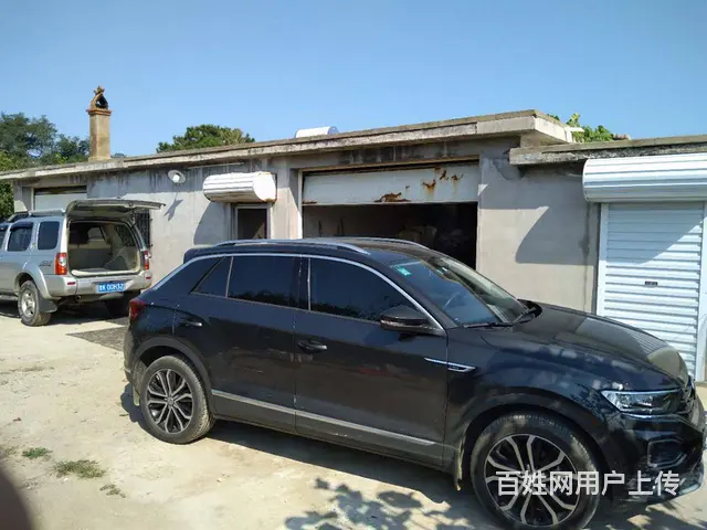 20亩无花果园对外出租 - 图片 4