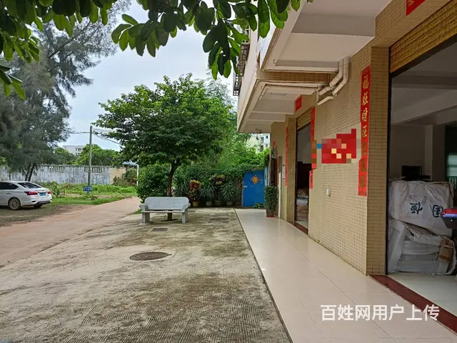 （51旺铺推荐）桂林洋兴洋大道270平铺面房东直租 - 图片 6