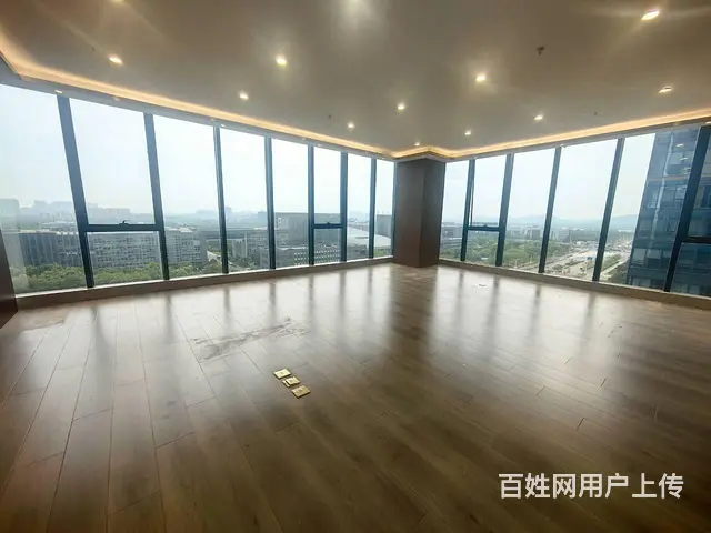 新城绿地商务蓝海650平高层南向纯办公欢迎看房 - 图片 7