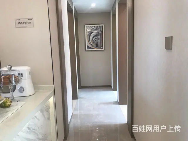 龙湖春江彼岸89两室两厅电梯洋房 - 图片 5