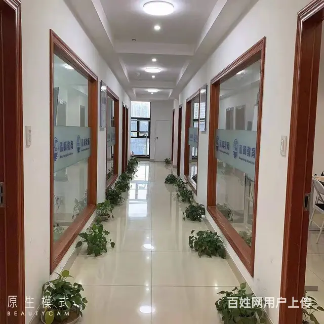 家庭教育指导师一文全懂，柯桥泓畅教育专注成人职培的图片