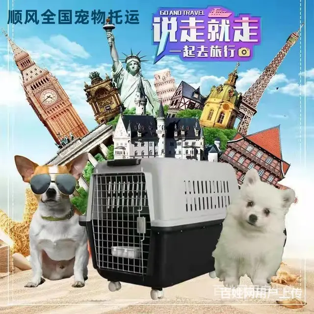 2022安宁市到全国）宠物托运（猫狗）邮寄快递（宠物活体运输 - 图片 1