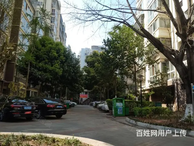 独栋两户采光好 精装带家具 拎包入住 - 图片 5
