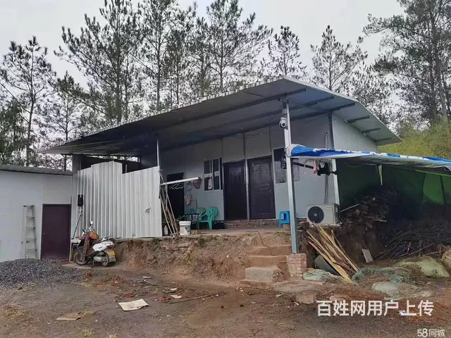 南江黑池村800平养殖场转让 - 图片 2