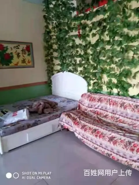 南山名苑小区 商住两用2厅 精装修 出售 - 图片 6