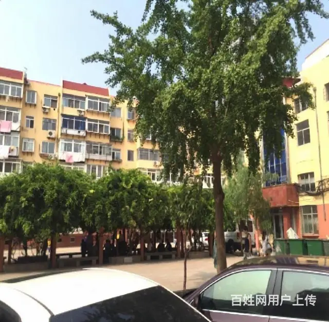 华茂小区口腔医院附近3室1厅设施全 - 图片 12