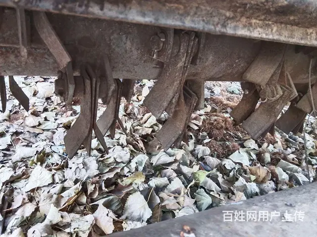 21虎3 - 图片 2