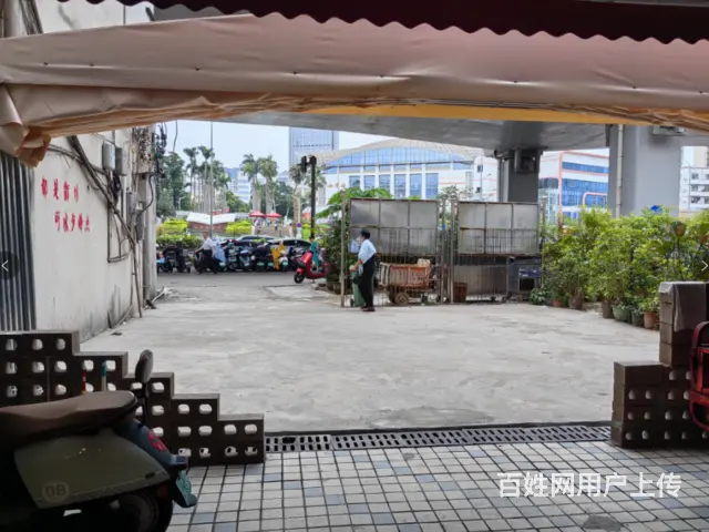 （51旺铺推荐）海秀中路300平餐饮店转让 - 图片 3