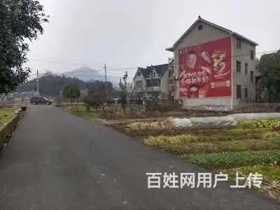 商丘药品乡镇民墙广告落地传达,艺术墙体彩绘喷绘墙面 - 图片 2