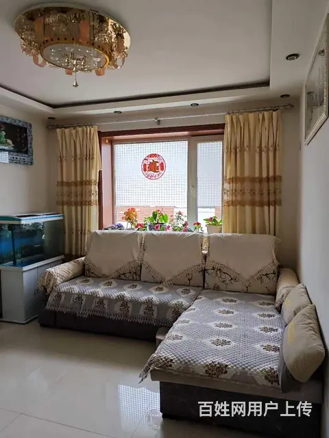 百姓网看到的 - 图片 7
