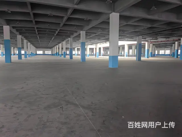 惠民开发区一栋三层8000平，消防喷淋，一楼层高6米，产证齐 - 图片 6
