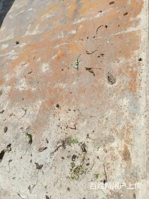 新款重汽王牌777B前顶 - 图片 10