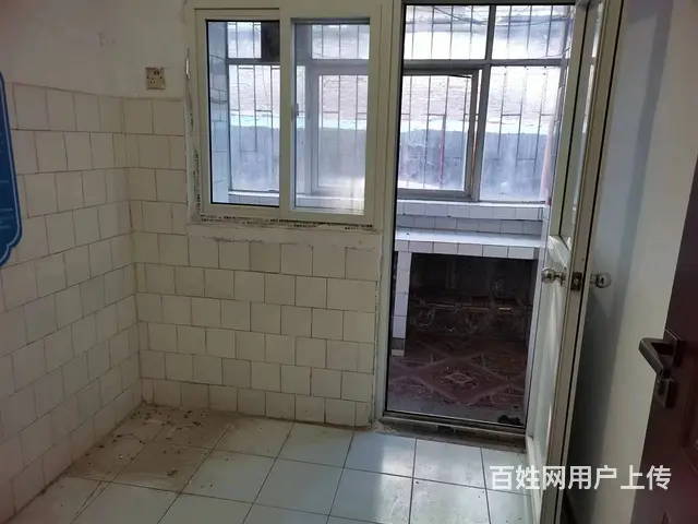 28亩地 普通住宅 简单装修 - 图片 4