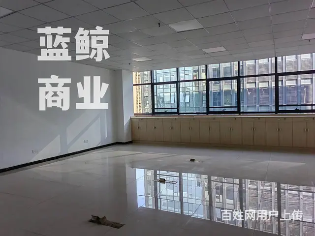 绿地商务城蓝海60到300平拎包办公 - 图片 8