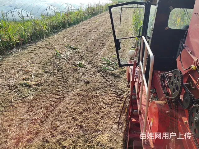 三行玉米收割机 - 图片 3