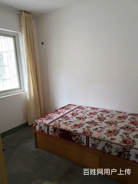 房屋出租 - 图片 6