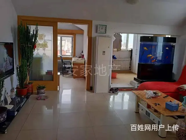 科区平安东区17号楼 普通住宅 简单装修 - 图片 2