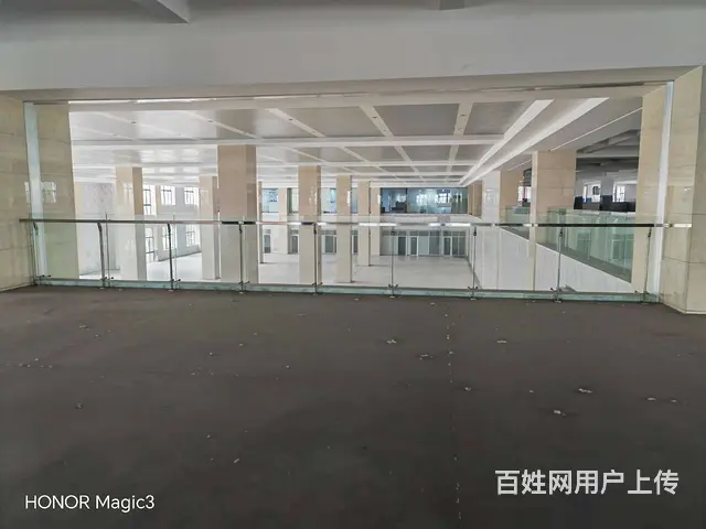 碧溪沿江开发区32000平方标准厂房出租，场地大，环境优美。 - 图片 2