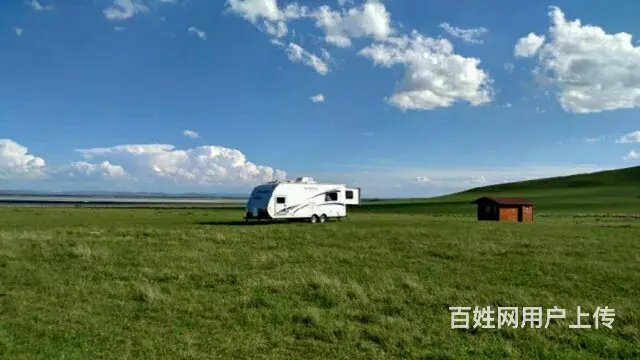 近距离观察立属于天地之间，傲立于大自然的勇者——狼 - 图片 2