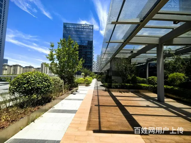 未来科技城 阿里旁 整层出售 带超大露台 赠送8米层高空间 - 图片 1