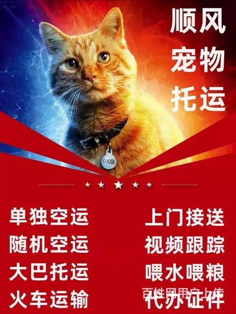 昆明安宁宠物托运（猫狗）邮寄速运空运 （2023今日 推荐运 - 图片 1
