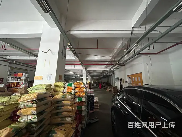 （老板本人）黄花镇仓库优价出租  6495 - 图片 5