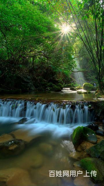 【图】- 新房出售 - 抚顺望花新房出售 - 抚顺百姓网