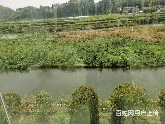 新浦新浦虾新快线农家乐转让 - 图片 1