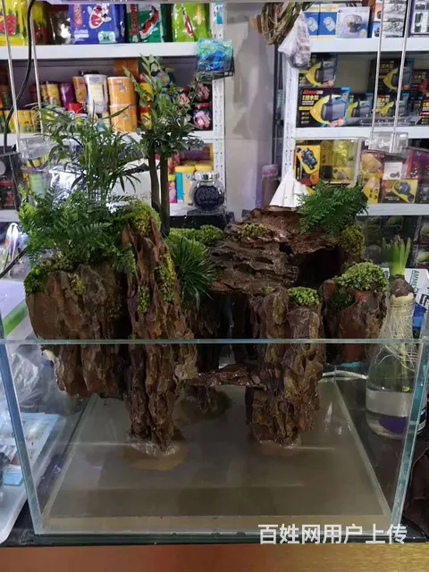 苏州鱼缸定制，专业定制鱼缸，上门服务 - 图片 2