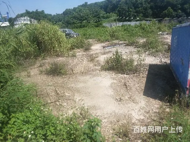 出租普宁中药市场周边空地约10亩 - 图片 6