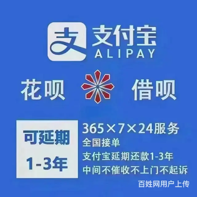 苏*，支付宝协商还款，网贷逾期，* - 图片 8