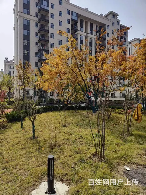天亿城一期 高品质小区 宝地 实验 - 图片 11