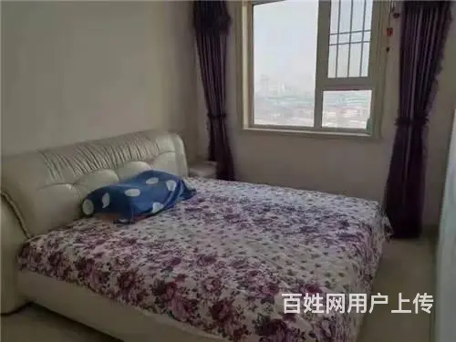 昌邑区政府附近240平门市出租，另有楼房出售 - 图片 6