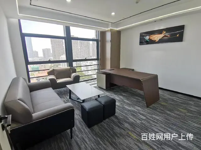 会展宝龙一城观音山地铁软件园 明丰财富中心 豪装带家具多套 - 图片 5