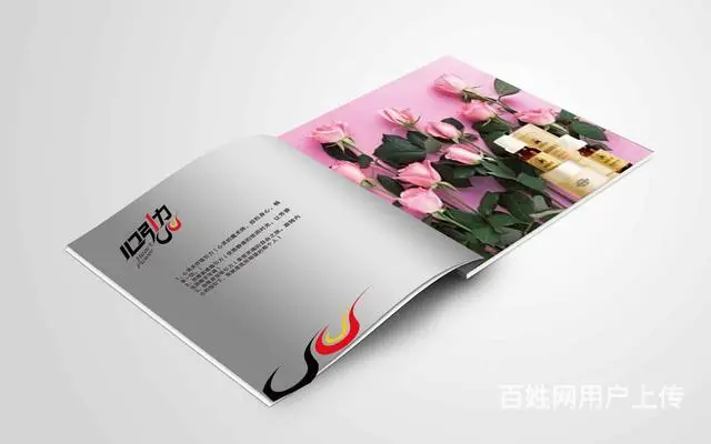 淄博专业设计VI  ，logo标志，画册宣传材料。 - 图片 7