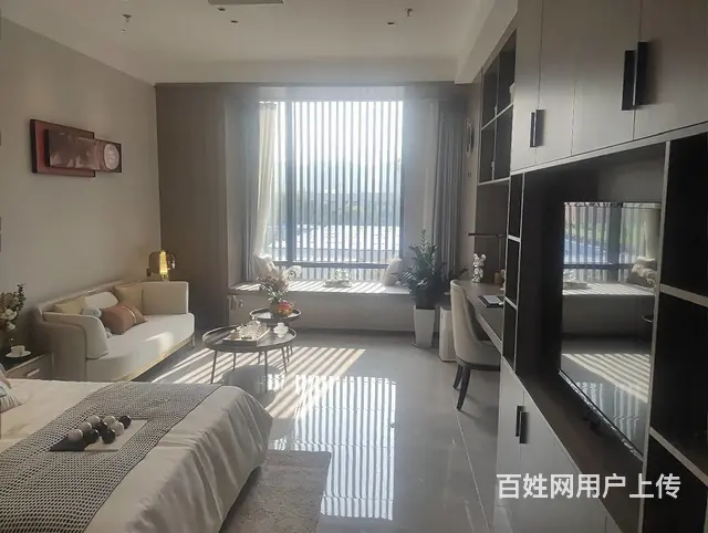 一万起价！豪装万科翡翠书院！70年产权，现房，上重庆路小学初 - 图片 2