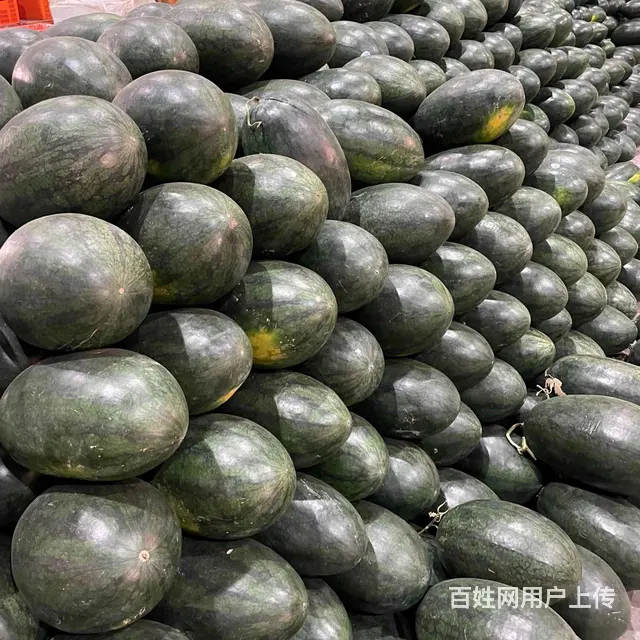 成都水果供应酒店 食堂 学校水果批发市场批发水果上 - 图片 2