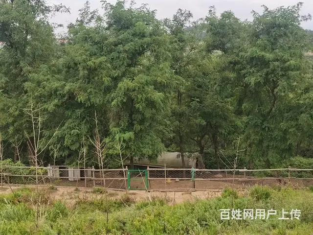 个人农场出租转让 - 图片 6